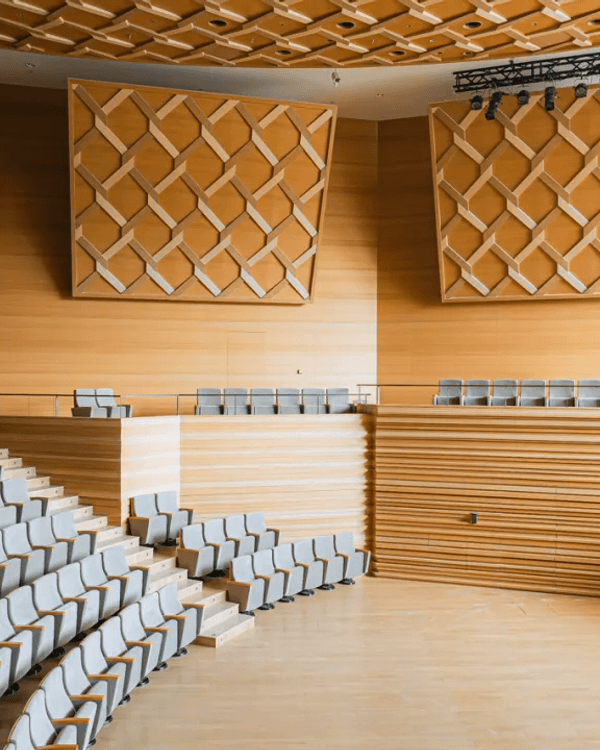 深圳新地標龍崗國際藝術中心開幕❗紅絲絨歌劇廳一秒穿越歐洲🎷附近期演出詳情🎫