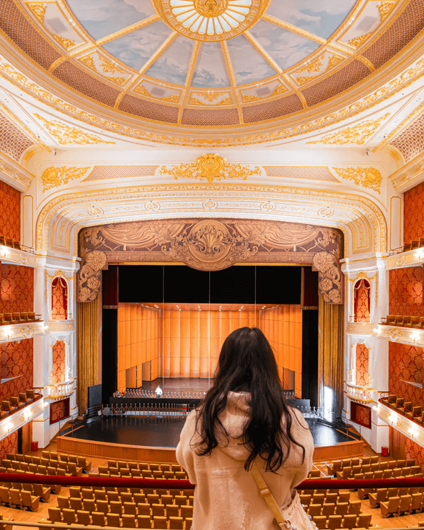 深圳新地標龍崗國際藝術中心開幕❗紅絲絨歌劇廳一秒穿越歐洲🎷附近期演出詳情🎫