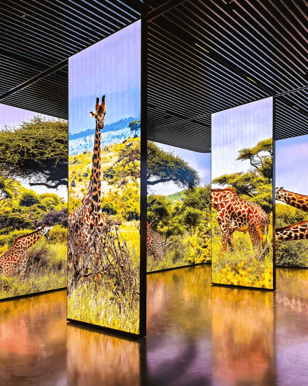 深圳新地標龍崗國際藝術中心開幕❗紅絲絨歌劇廳一秒穿越歐洲🎷附近期演出詳情🎫