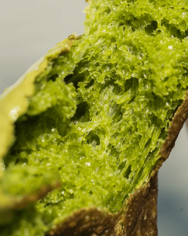 深圳9間抹茶控必朝聖餐廳💚人氣中式抹茶雪糕🍵濃度更可自選❗