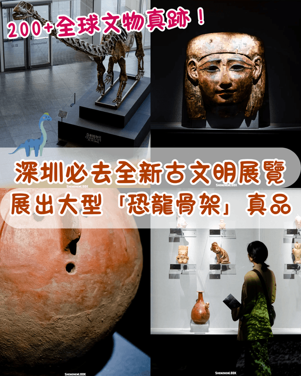 深圳展出超大型「恐龍骨架」真品🦕200+件全球文物真跡必去‼️