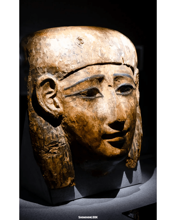 深圳展出超大型「恐龍骨架」真品🦕200+件全球文物真跡必去‼️