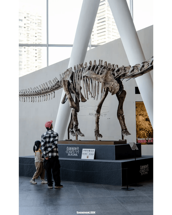 深圳展出超大型「恐龍骨架」真品🦕200+件全球文物真跡必去‼️