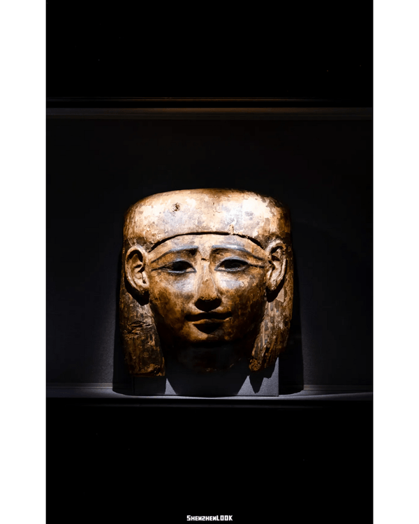 深圳展出超大型「恐龍骨架」真品🦕200+件全球文物真跡必去‼️