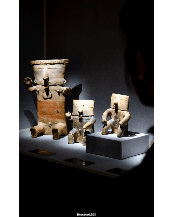 深圳展出超大型「恐龍骨架」真品🦕200+件全球文物真跡必去‼️