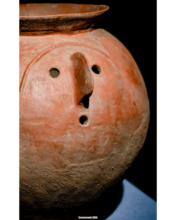 深圳展出超大型「恐龍骨架」真品🦕200+件全球文物真跡必去‼️