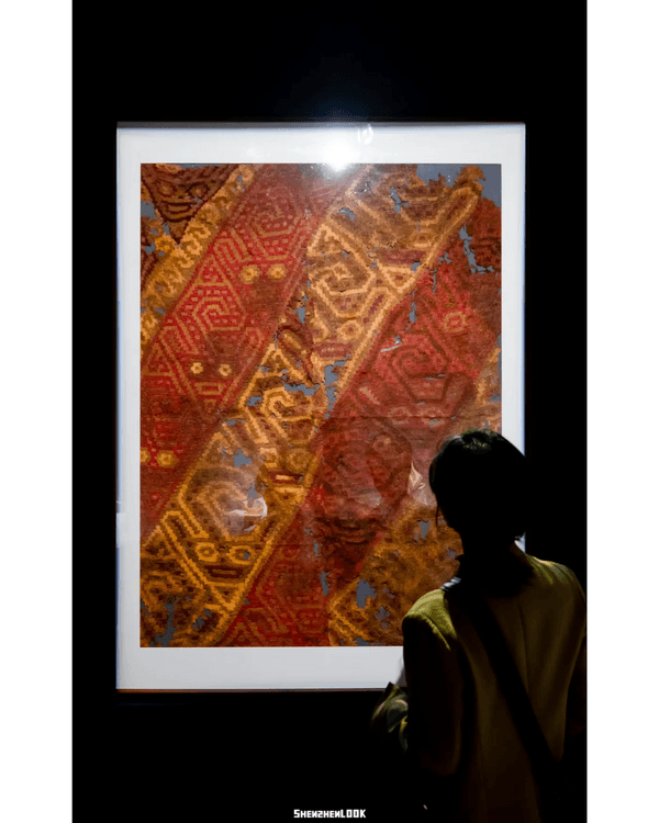 深圳展出超大型「恐龍骨架」真品🦕200+件全球文物真跡必去‼️