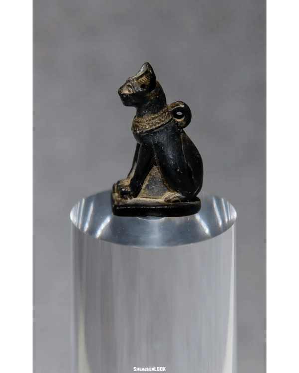 深圳展出超大型「恐龍骨架」真品🦕200+件全球文物真跡必去‼️