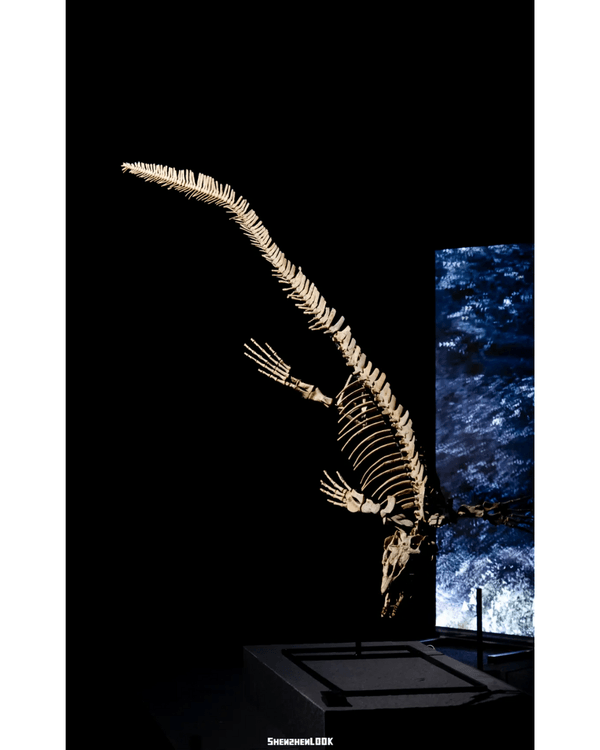 深圳展出超大型「恐龍骨架」真品🦕200+件全球文物真跡必去‼️