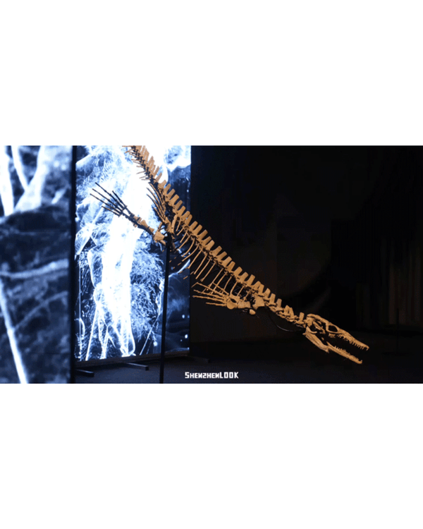 深圳展出超大型「恐龍骨架」真品🦕200+件全球文物真跡必去‼️