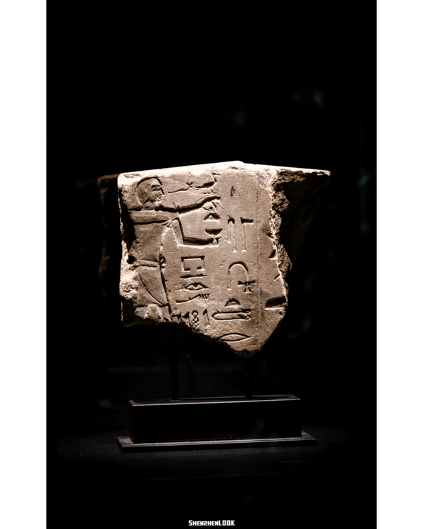 深圳展出超大型「恐龍骨架」真品🦕200+件全球文物真跡必去‼️