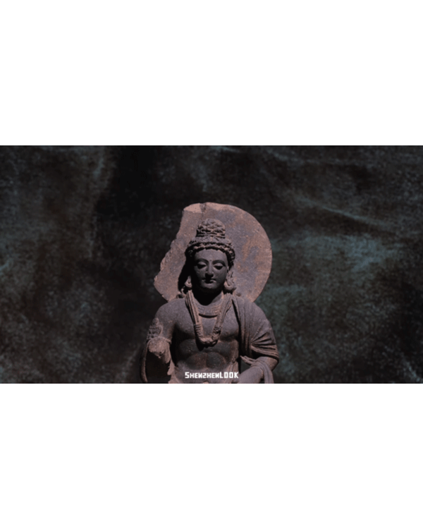 深圳展出超大型「恐龍骨架」真品🦕200+件全球文物真跡必去‼️