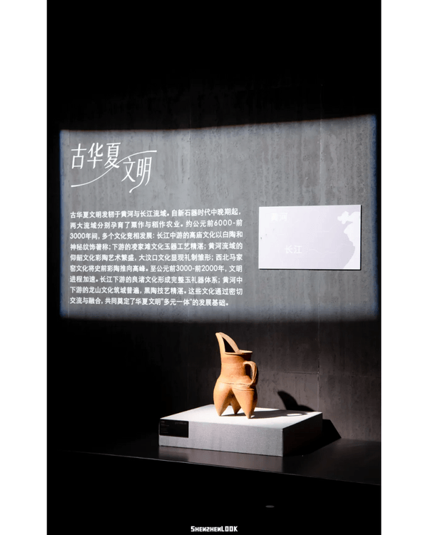 深圳展出超大型「恐龍骨架」真品🦕200+件全球文物真跡必去‼️