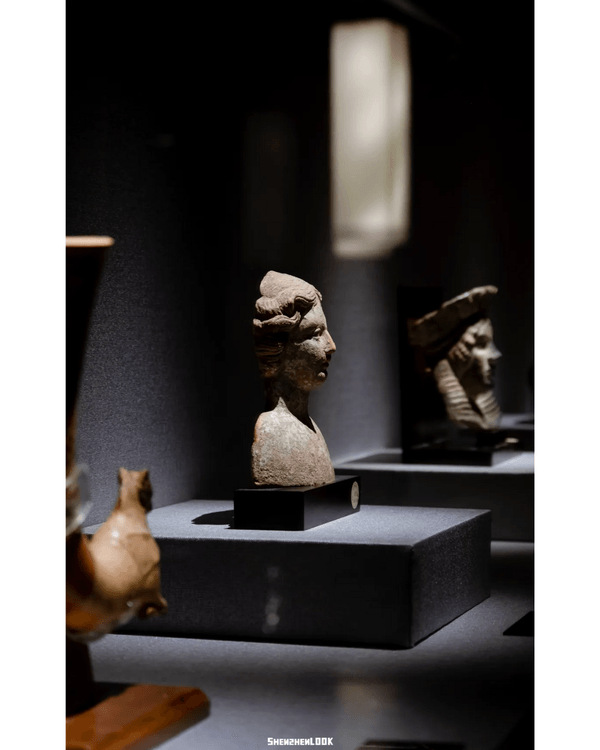 深圳展出超大型「恐龍骨架」真品🦕200+件全球文物真跡必去‼️