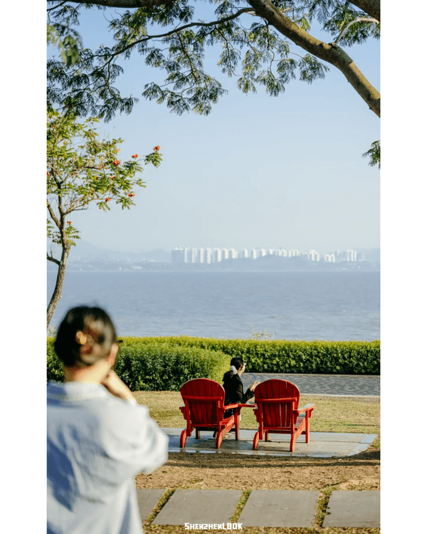 深圳地鐵13號線開通🚇11大沿線周邊景點推薦⭐阿勒泰同款花海必去🌿