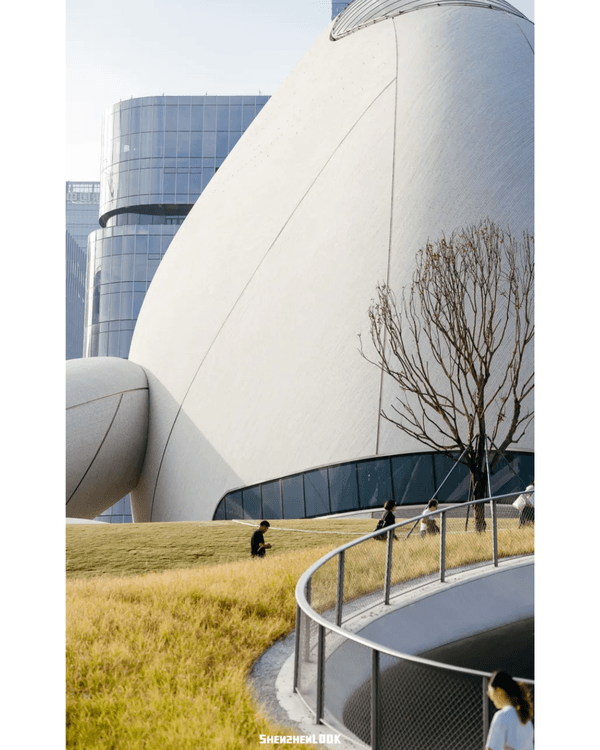 深圳地鐵13號線開通🚇11大沿線周邊景點推薦⭐阿勒泰同款花海必去🌿