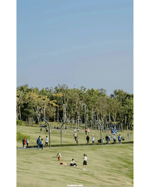 深圳地鐵13號線開通🚇11大沿線周邊景點推薦⭐阿勒泰同款花海必去🌿