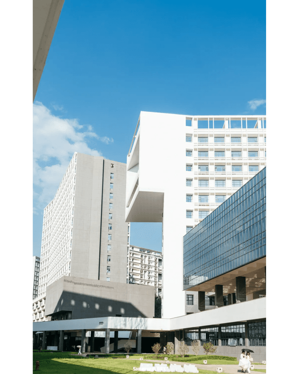 深圳地鐵13號線開通🚇11大沿線周邊景點推薦⭐阿勒泰同款花海必去🌿