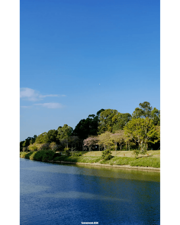 深圳地鐵13號線開通🚇11大沿線周邊景點推薦⭐阿勒泰同款花海必去🌿