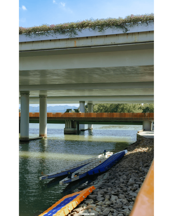 深圳地鐵13號線開通🚇11大沿線周邊景點推薦⭐阿勒泰同款花海必去🌿