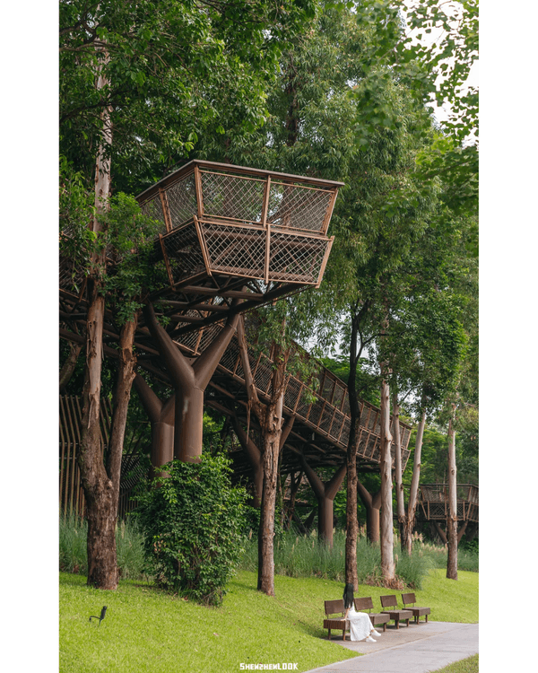 深圳地鐵13號線開通🚇11大沿線周邊景點推薦⭐阿勒泰同款花海必去🌿