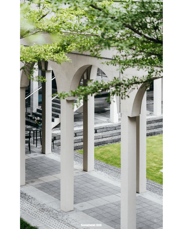 深圳地鐵13號線開通🚇11大沿線周邊景點推薦⭐阿勒泰同款花海必去🌿