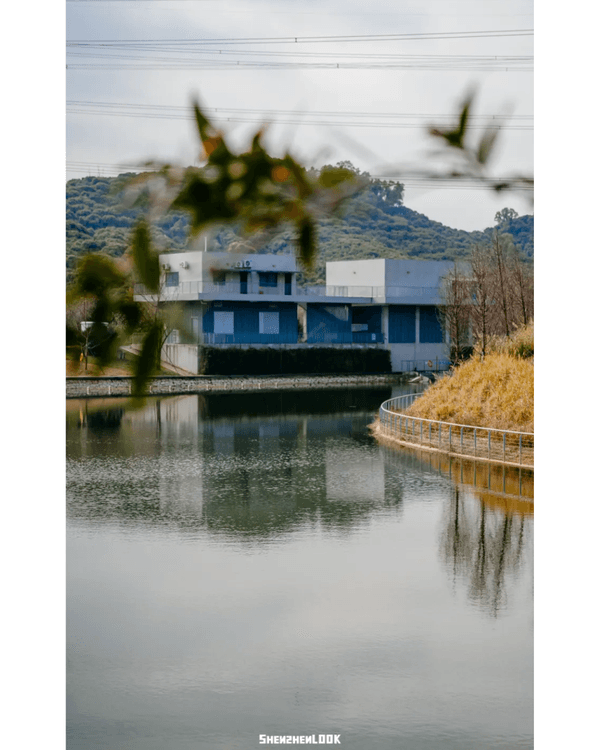 深圳地鐵13號線開通🚇11大沿線周邊景點推薦⭐阿勒泰同款花海必去🌿