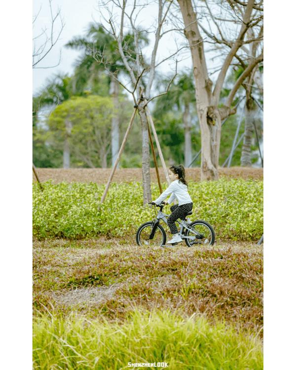 深圳地鐵13號線開通🚇11大沿線周邊景點推薦⭐阿勒泰同款花海必去🌿