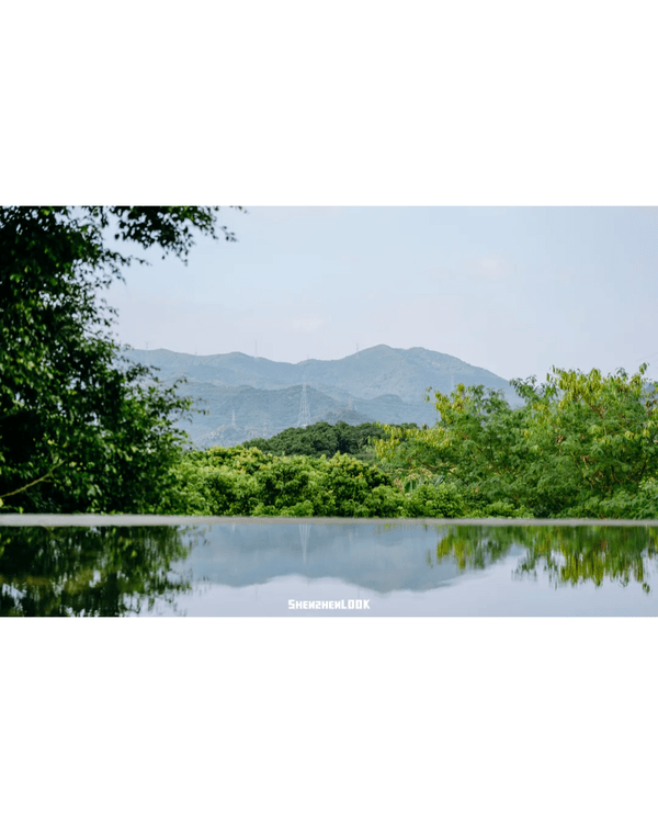 深圳地鐵13號線開通🚇11大沿線周邊景點推薦⭐阿勒泰同款花海必去🌿