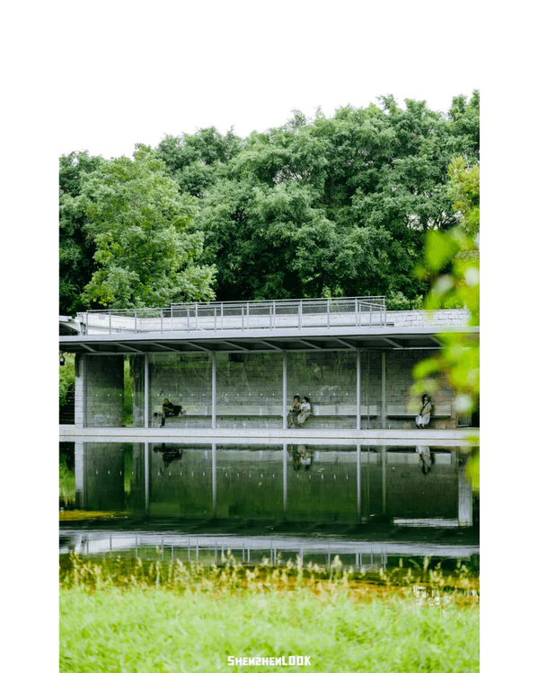 深圳地鐵13號線開通🚇11大沿線周邊景點推薦⭐阿勒泰同款花海必去🌿