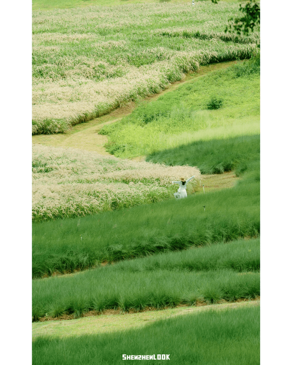 深圳地鐵13號線開通🚇11大沿線周邊景點推薦⭐阿勒泰同款花海必去🌿