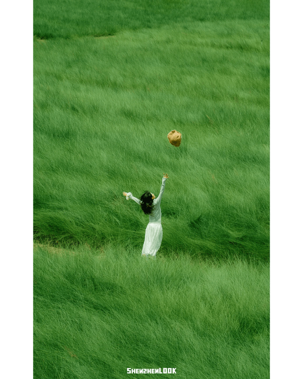 深圳地鐵13號線開通🚇11大沿線周邊景點推薦⭐阿勒泰同款花海必去🌿