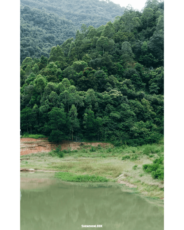 深圳地鐵13號線開通🚇11大沿線周邊景點推薦⭐阿勒泰同款花海必去🌿