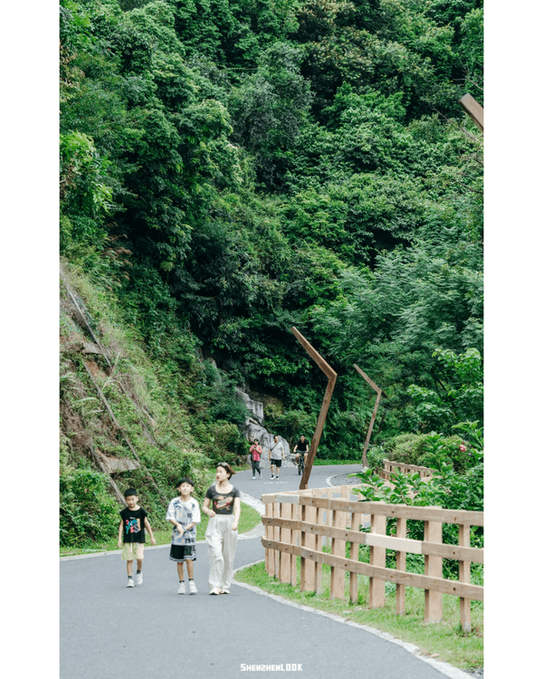 深圳地鐵13號線開通🚇11大沿線周邊景點推薦⭐阿勒泰同款花海必去🌿