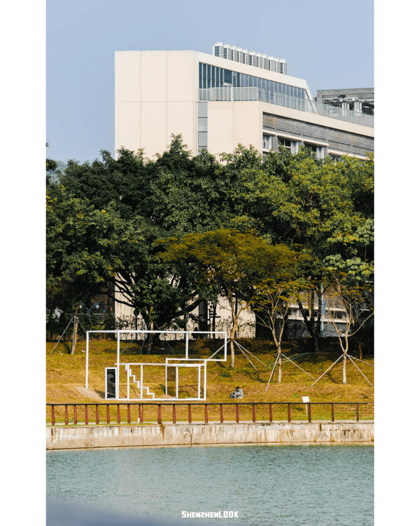 深圳灣公共藝術季開幕❗3大展區20+大型戶外裝置😍燈屋夜晚打卡必去🏠