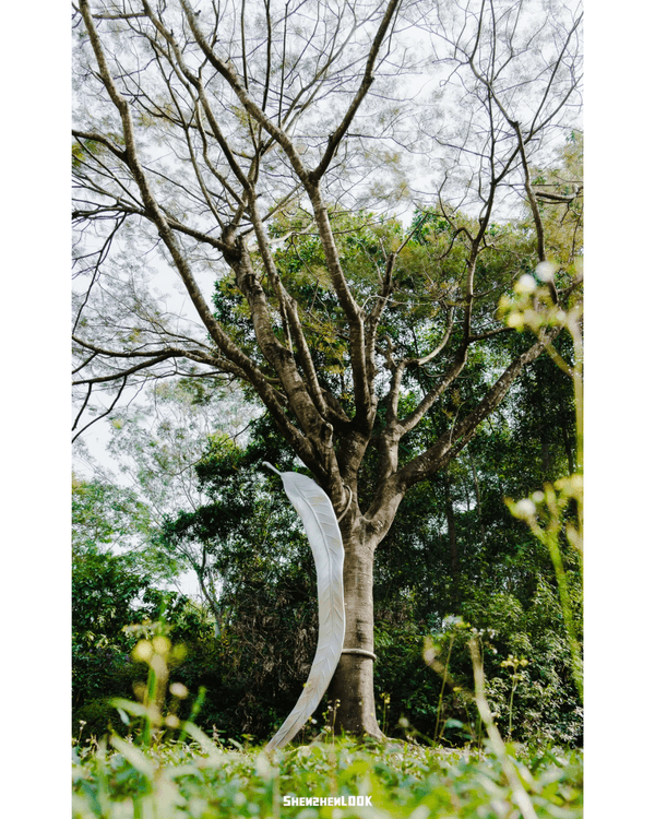 深圳灣公共藝術季開幕❗3大展區20+大型戶外裝置😍燈屋夜晚打卡必去🏠