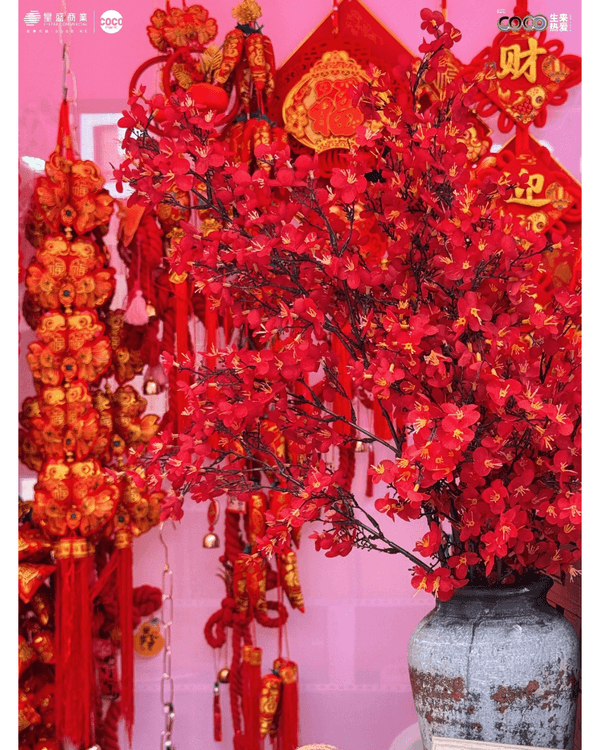 深圳新年8大平價掃年貨好去處🧧愛國路花市、荷蘭花卉小鎮超有過年氣氛🍊