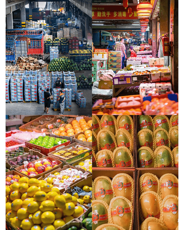 深圳新年8大平價掃年貨好去處🧧愛國路花市、荷蘭花卉小鎮超有過年氣氛🍊