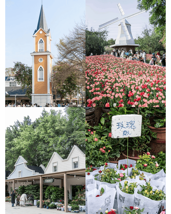 深圳新年8大平價掃年貨好去處🧧愛國路花市、荷蘭花卉小鎮超有過年氣氛🍊