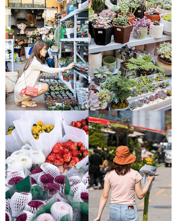 深圳新年8大平價掃年貨好去處🧧愛國路花市、荷蘭花卉小鎮超有過年氣氛🍊