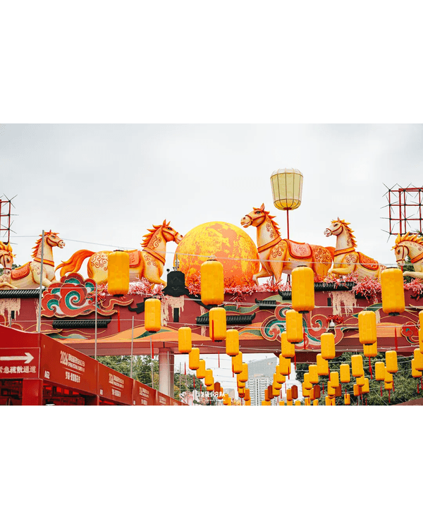 深圳羅湖愛國路花市開鑼🌸千米花街逾340+攤位😍必打卡新年燈會✨