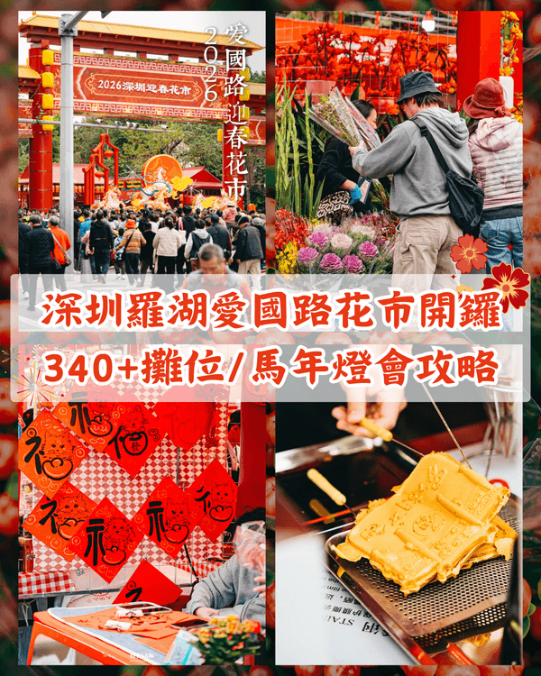 深圳羅湖愛國路花市開鑼🌸千米花街逾340+攤位😍必打卡新年燈會✨