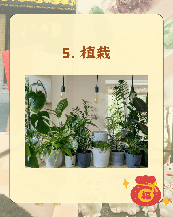 網民嚴選❗10大招財開運風水小物排名　聚寶盆、貔貅擺啱位助你接財神