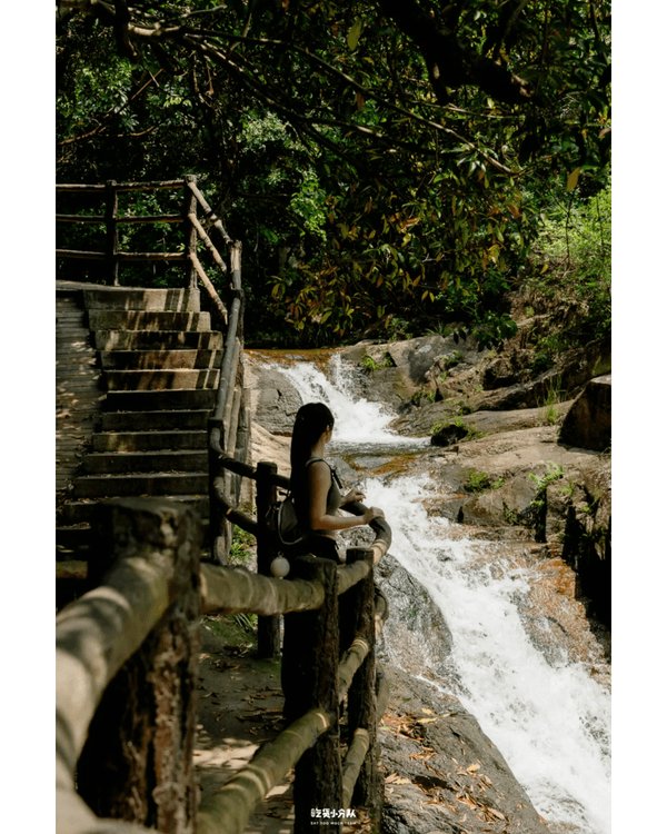 深圳8大小眾打卡好去處📷懸崖海景7-11、粉紙扇花海絕美必去🌸🌊