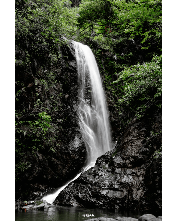 深圳8大小眾打卡好去處📷懸崖海景7-11、粉紙扇花海絕美必去🌸🌊