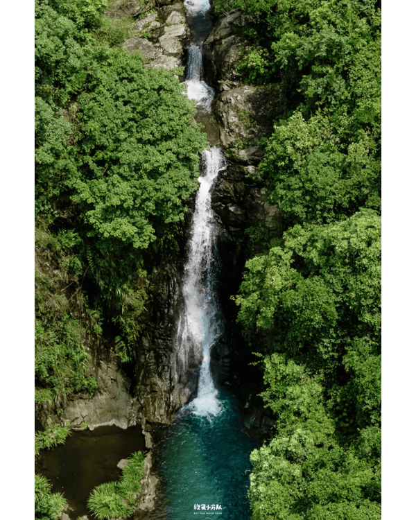 深圳8大小眾打卡好去處📷懸崖海景7-11、粉紙扇花海絕美必去🌸🌊