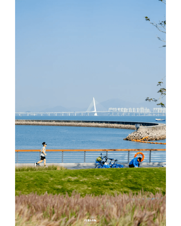 深圳8大小眾打卡好去處📷懸崖海景7-11、粉紙扇花海絕美必去🌸🌊
