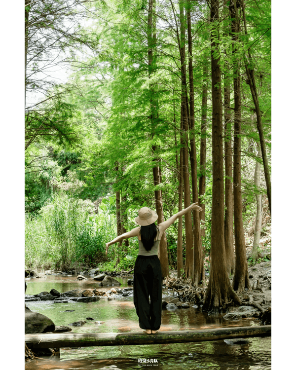 深圳8大小眾打卡好去處📷懸崖海景7-11、粉紙扇花海絕美必去🌸🌊
