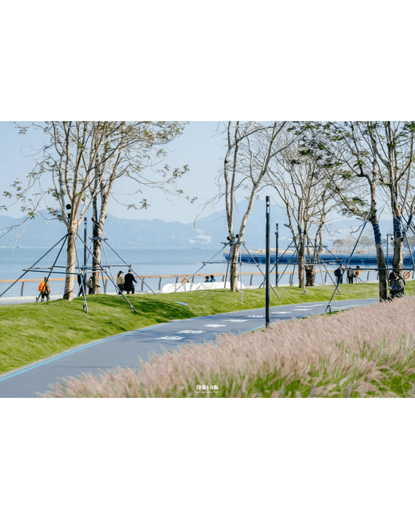 深圳8大小眾打卡好去處📷懸崖海景7-11、粉紙扇花海絕美必去🌸🌊