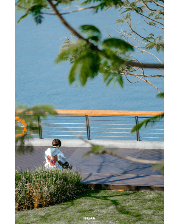 深圳8大小眾打卡好去處📷懸崖海景7-11、粉紙扇花海絕美必去🌸🌊